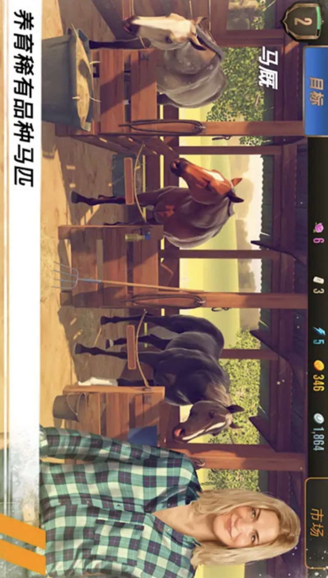 家族传奇： 马匹养成竞技