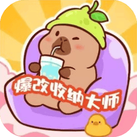 爆改收纳大师