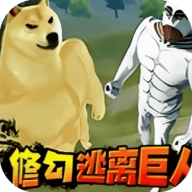 修勾三角行动