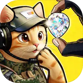 猫猫行动撤离